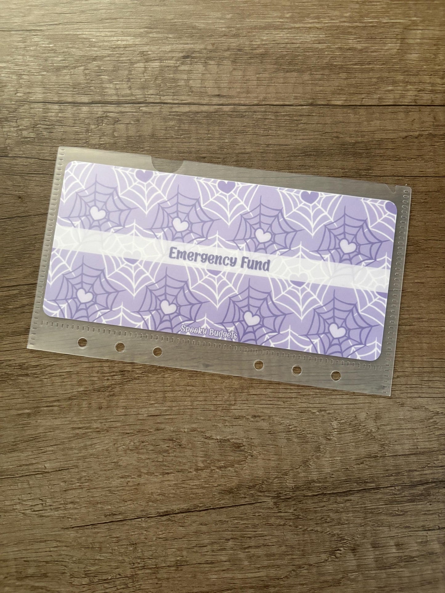 Frosted A6 Cash Envelope w/ Custom Dashboard