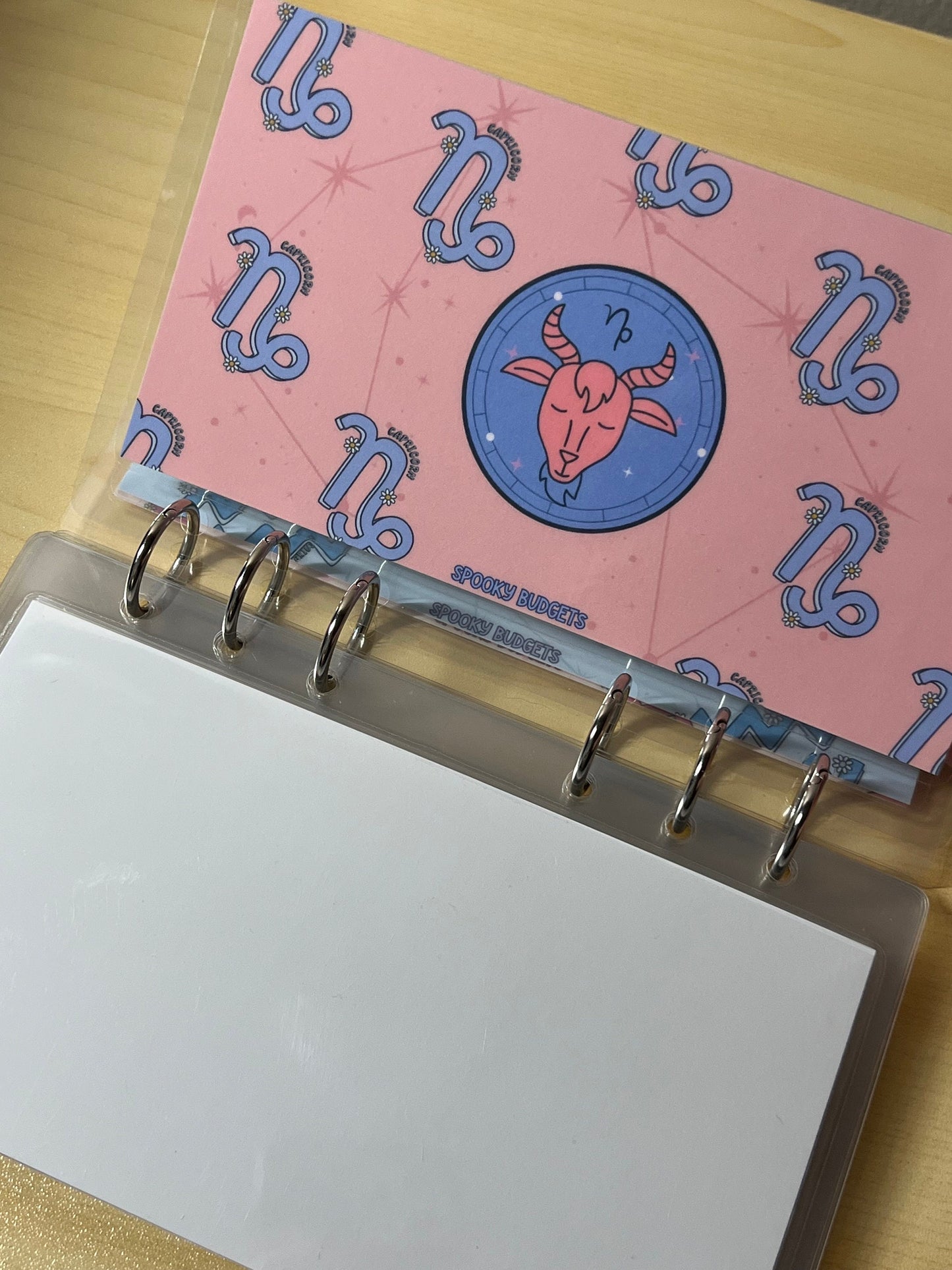 Zodiac Cash Envelopes A6 Laminated