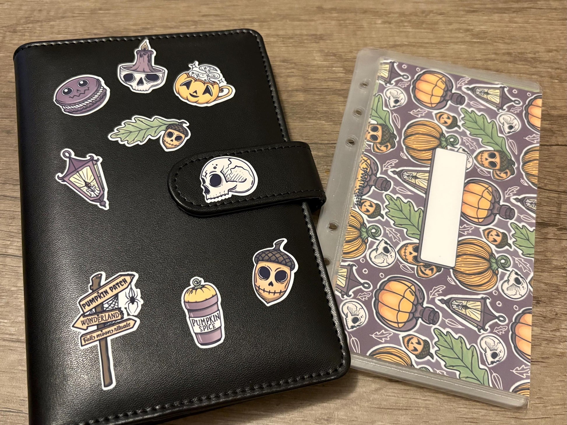 Spooky Autumn Budget Binder A6 Laminated Custom Cash Envelopes w/ Trackers & Sticker Sheet