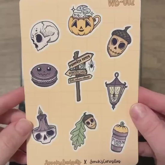 Spooky Autumn Budget Binder A6 Laminated Custom Cash Envelopes w/ Trackers & Sticker Sheet
