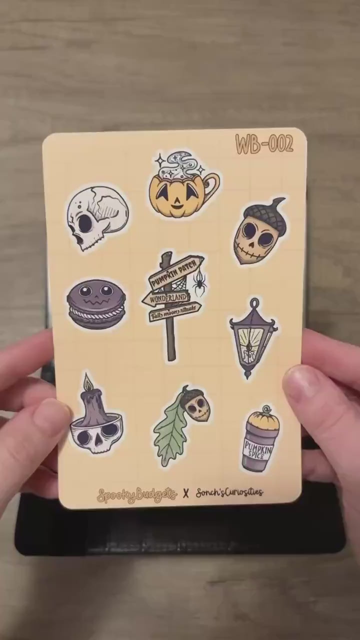 Spooky Autumn Budget Binder A6 Laminated Custom Cash Envelopes w/ Trackers & Sticker Sheet